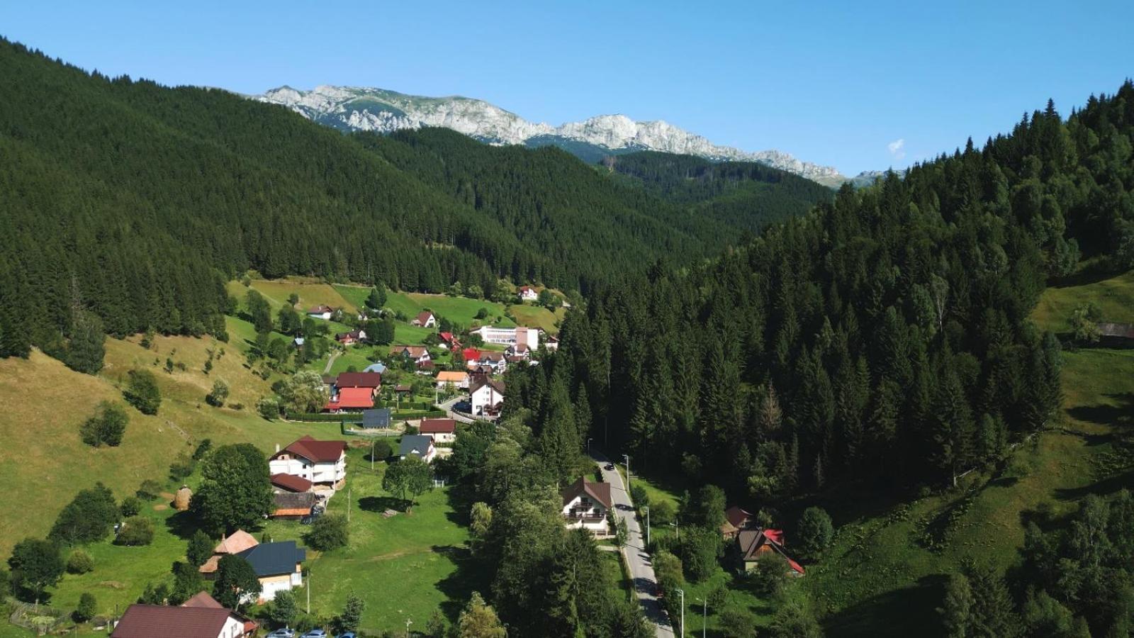 Vila Green & White Moeciu De Sus Zewnętrze zdjęcie