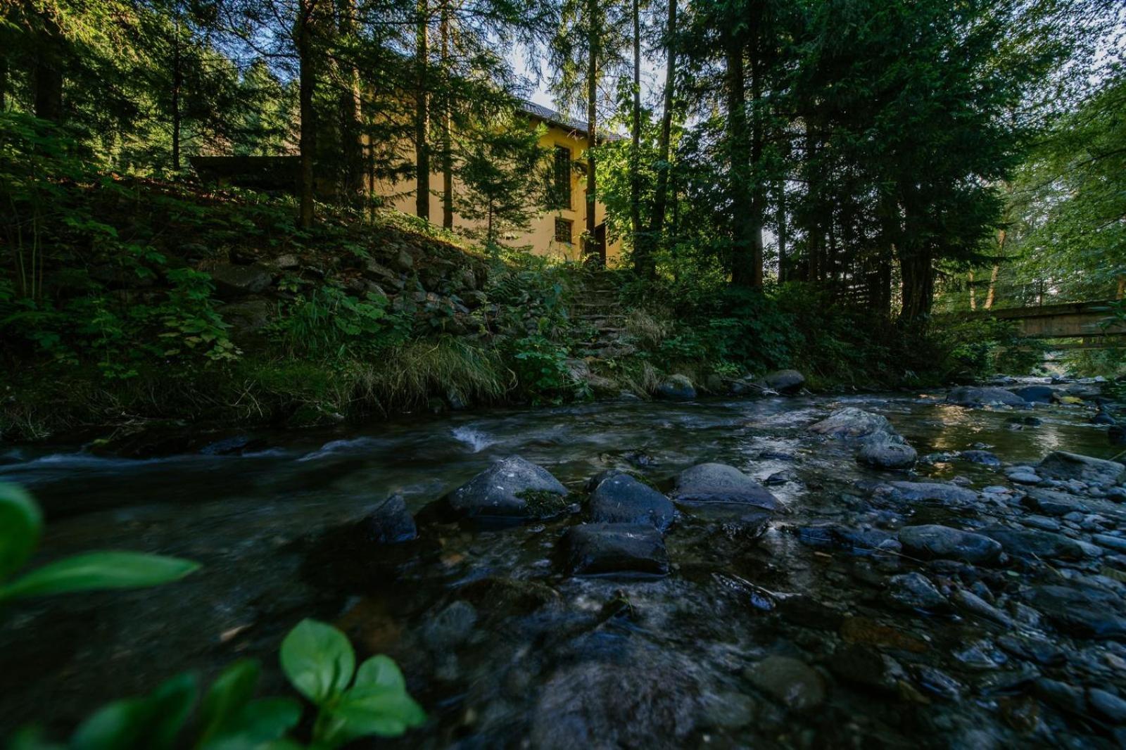 Vila Green & White Moeciu De Sus Zewnętrze zdjęcie